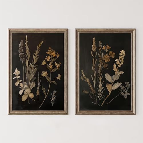 Arte de pared floral vintage negro botánico arte de pared de flores Moody arte de pared de la academia oscura, pintura floral vintage impresiones
