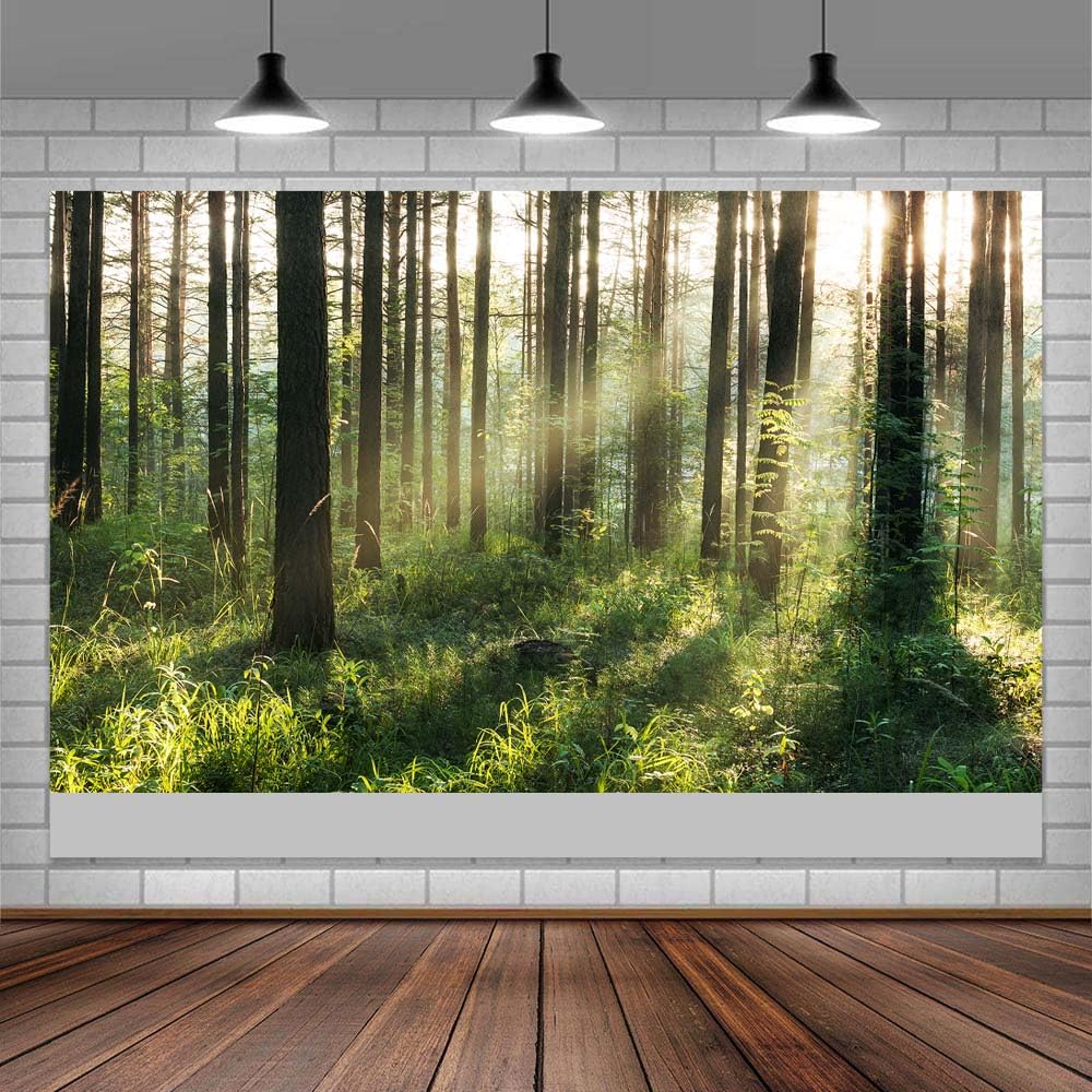 Jungle Forest Photography Backdrop Natural Scenery Background Green Jungle Fairytale Magic Woodland Photography Background for Wedding Baby Shower