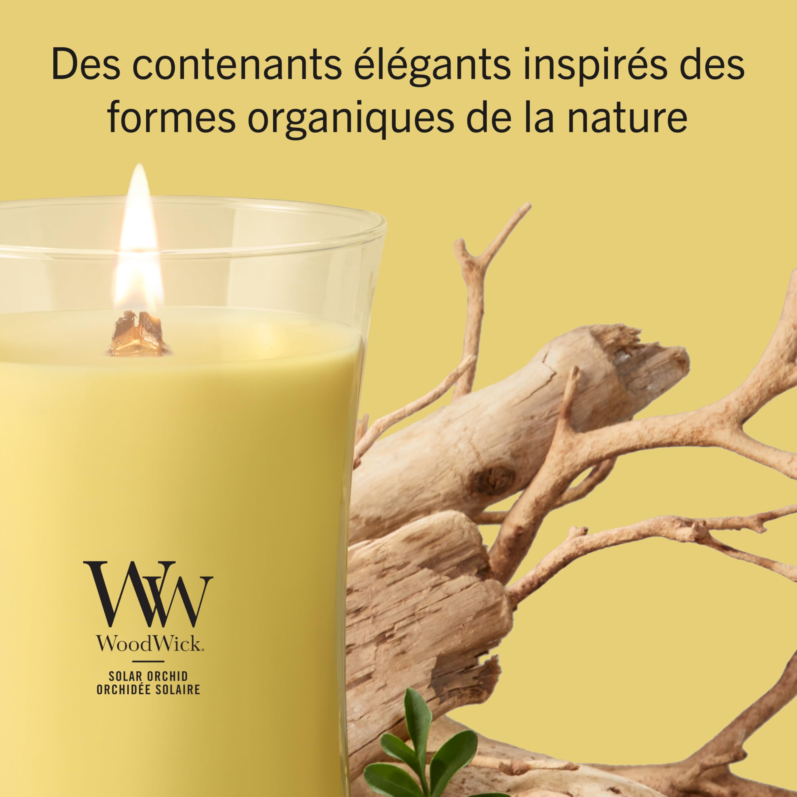 WoodWick Bougie parfumée | Grande bougie sablier | Orchidée solaire | Cadeaux parfaits pour femmes