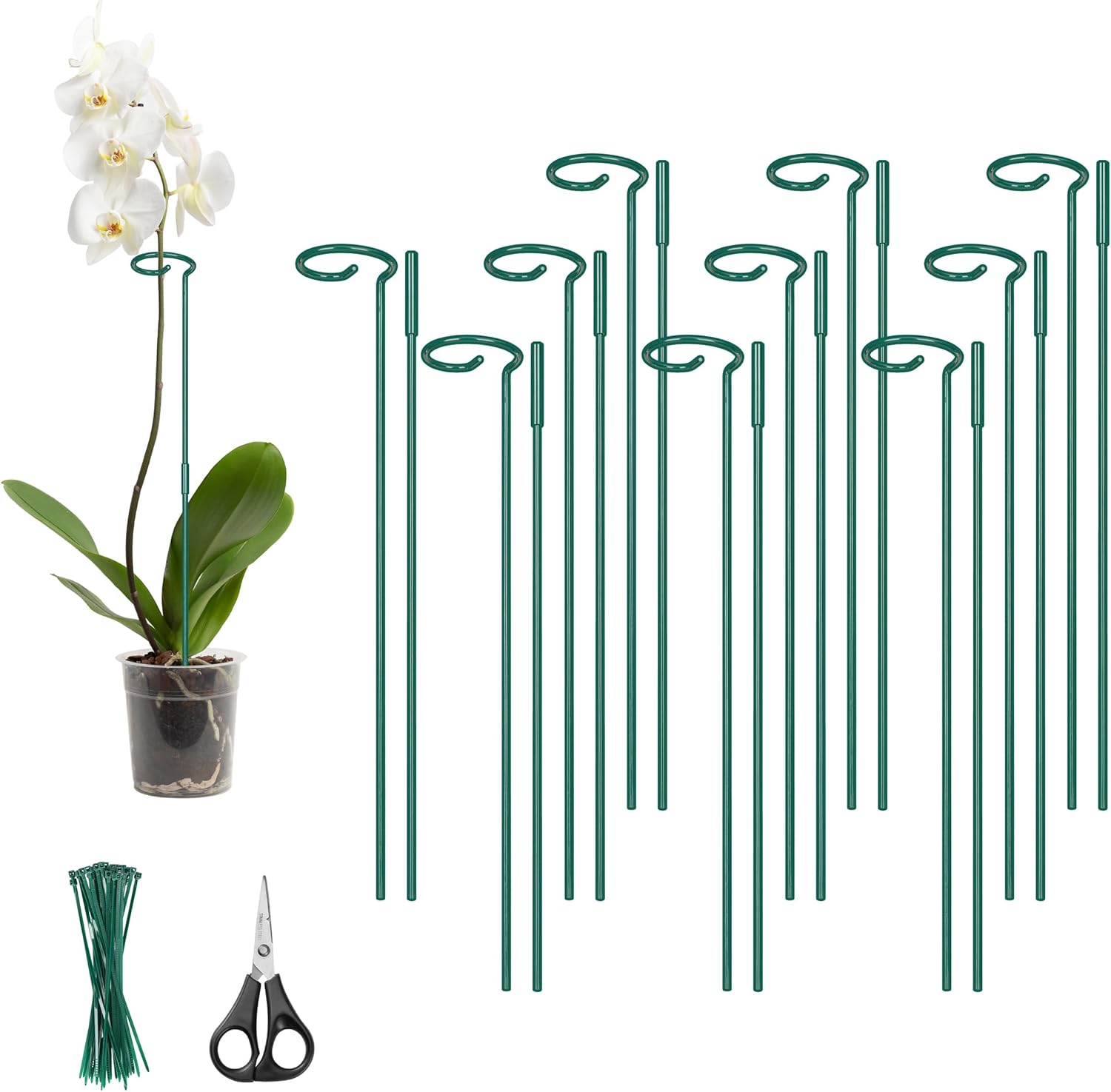 Kingsyard 10 Pack Plant Support Stakes - 4.5mm Thick Adjustable Sizes 16 or 32 Inch, Metal Plant Stakes for Indoor Plants or Outdoor Plants, for Garden Flowers Tomatoes Monstera