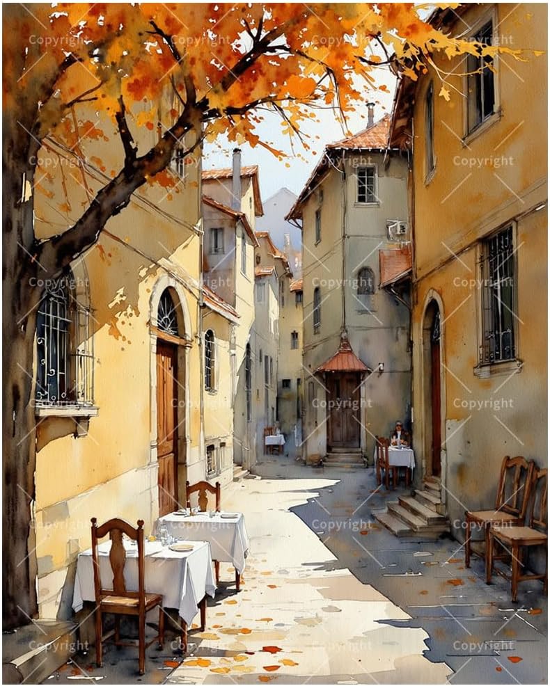 European Alley Paint by Numbers Kit for Adults - DIY Cozy Street with Outdoor Cafes Painting on Canvas 16x20In, Framed Acrylic Paint Set, Suitable for Beginners, Art for Home Decoration or Gifts