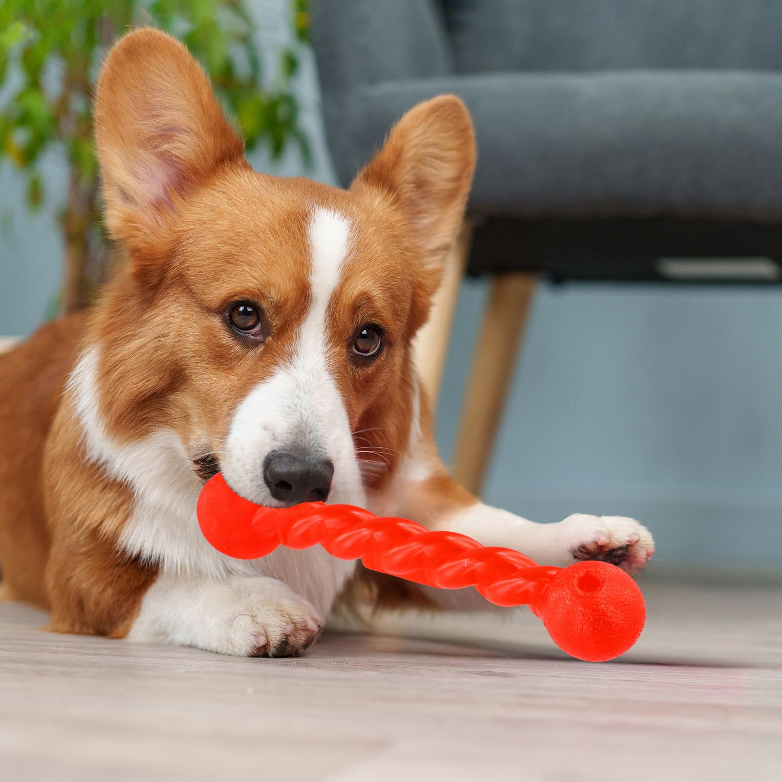 Nivofu Honden Kauwspeelgoed – Rubberen Tandjesstok, Spiraalontwerp, Slijtvast, Groen – Voor Tandenpoetsen En Vermaak
