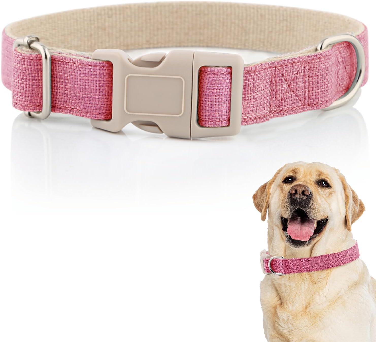 DCSP Pets Dog Collar HeavyDuty Dog Collar for Small