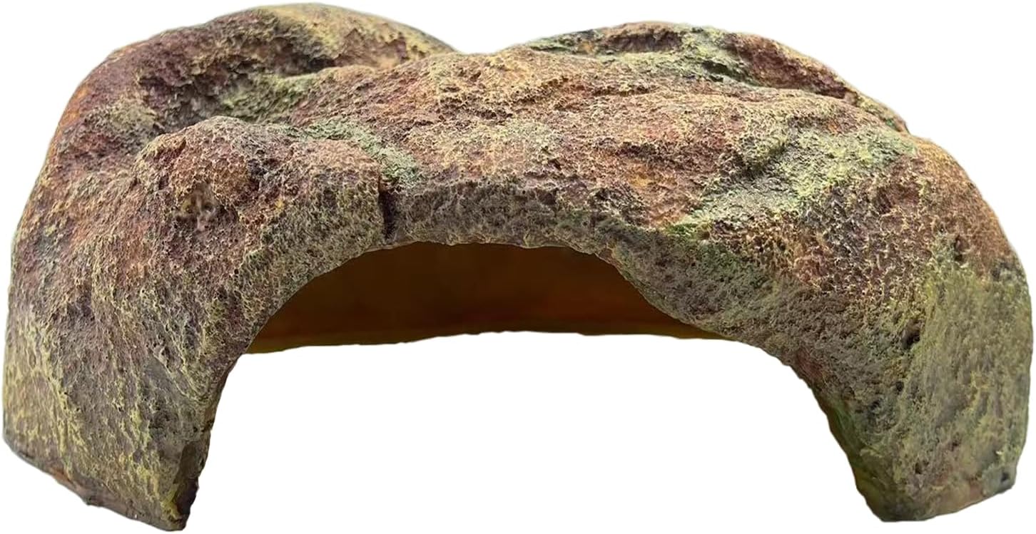 Amazon.com : ZXUAQNOE Extra Large Reptile Hide Resin Snake Hides for ...
