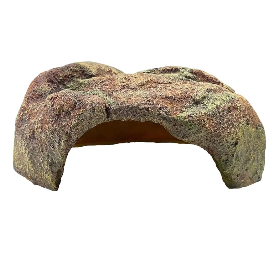 HIDE Chest Protector Thorax Warrior