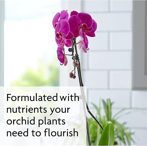 Miniatura 6 de Miracle-Gro Orchid Plant Food Mist 8 onzas (paquete de 6)