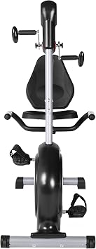 Velocity Exercise Dual Motion Recumbent Bike