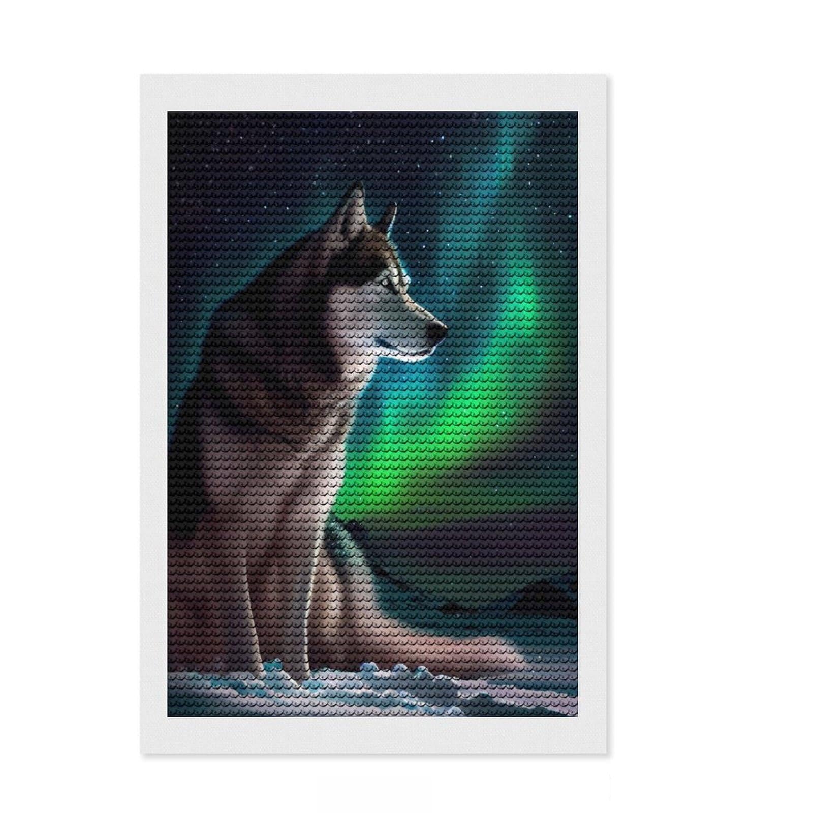 Junmoney Husky Dog Aurora Full Drill Diamond Painting Kit 8"x12", for Women, Stress Relief Craft, Aesthetic Room Decor, Birthday Gift