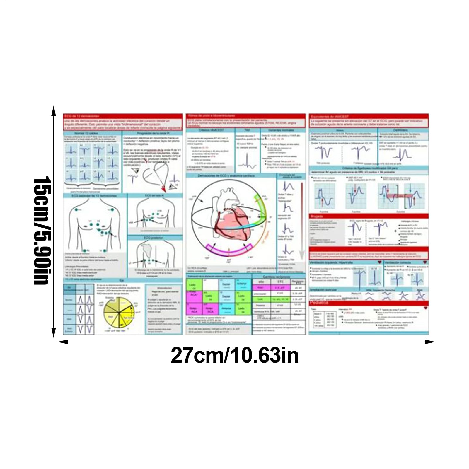 Carte tascabili Ekg, Guida rapida per l'interpretazione Ecg, Carte di riferimento orizzontali e verticali compatte portatili, Scuola infermieristica per ospedale, assistenza domiciliare, studenti