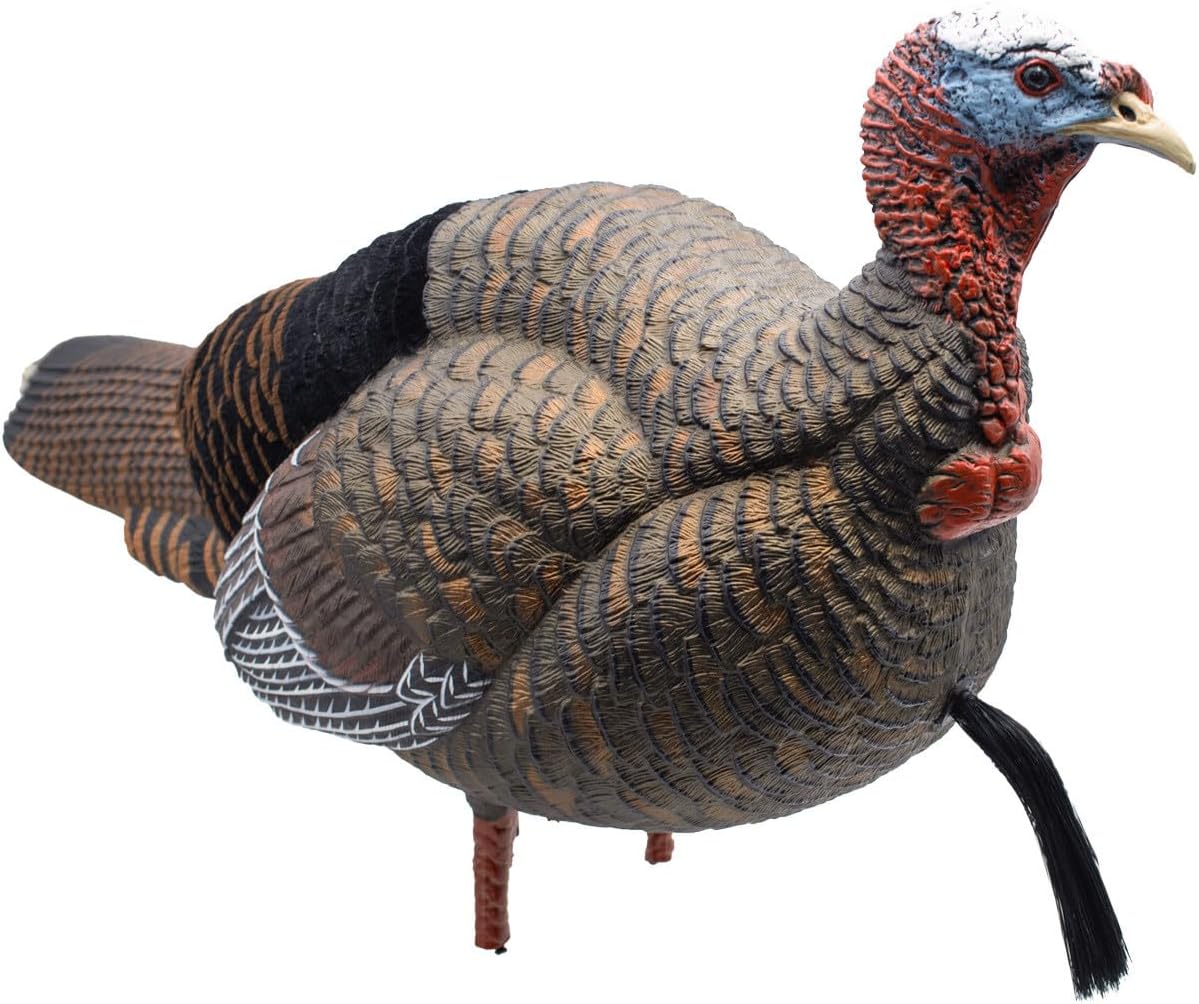 Final Approach Live Jake Turkey Decoy with Flocked Back