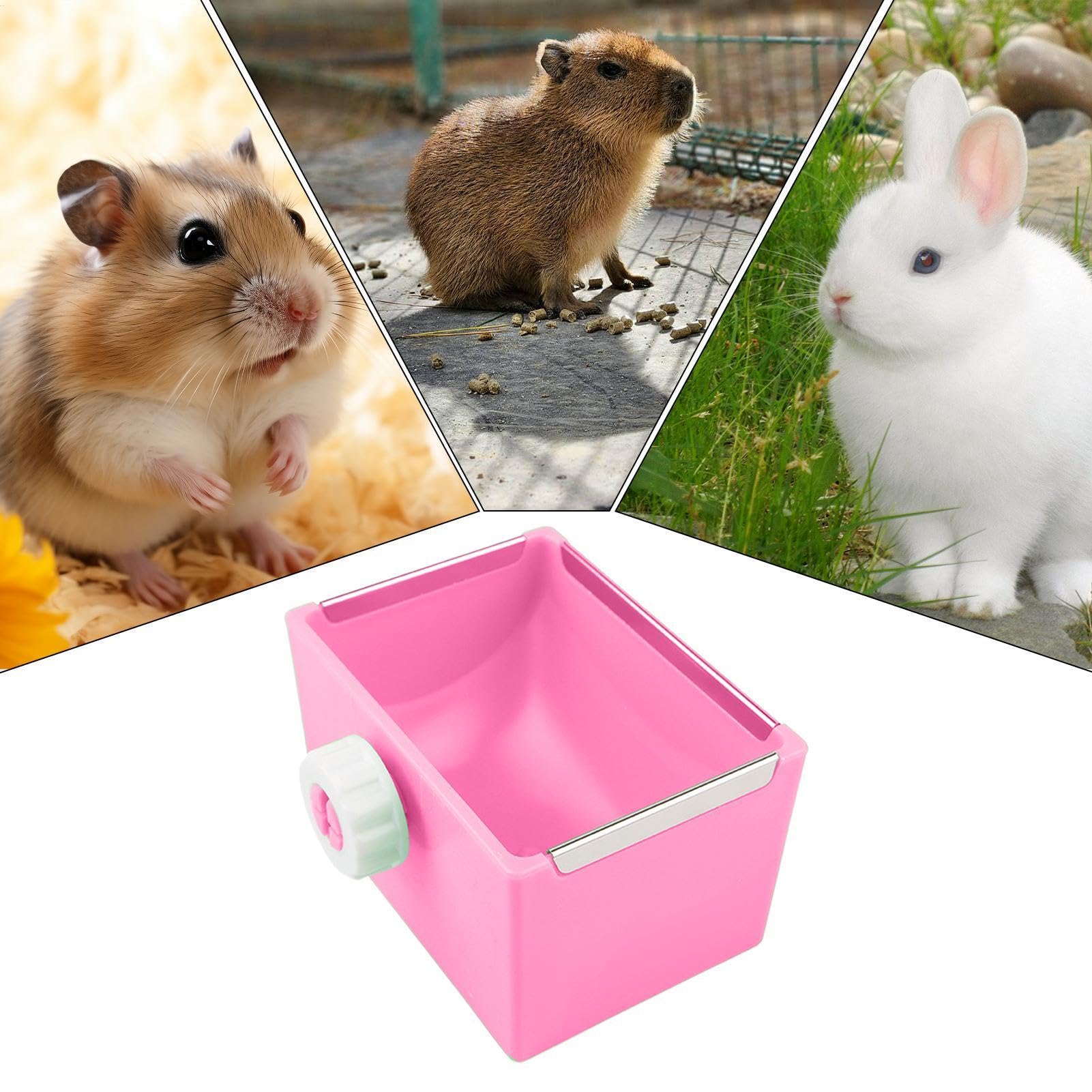 di criceto, di cibo per criceti Dispenser di acqua e pasti | per alimentazione di piccoli animali per criceto nano gerbillo siriano furetto riccio di coniglietto chinchilla