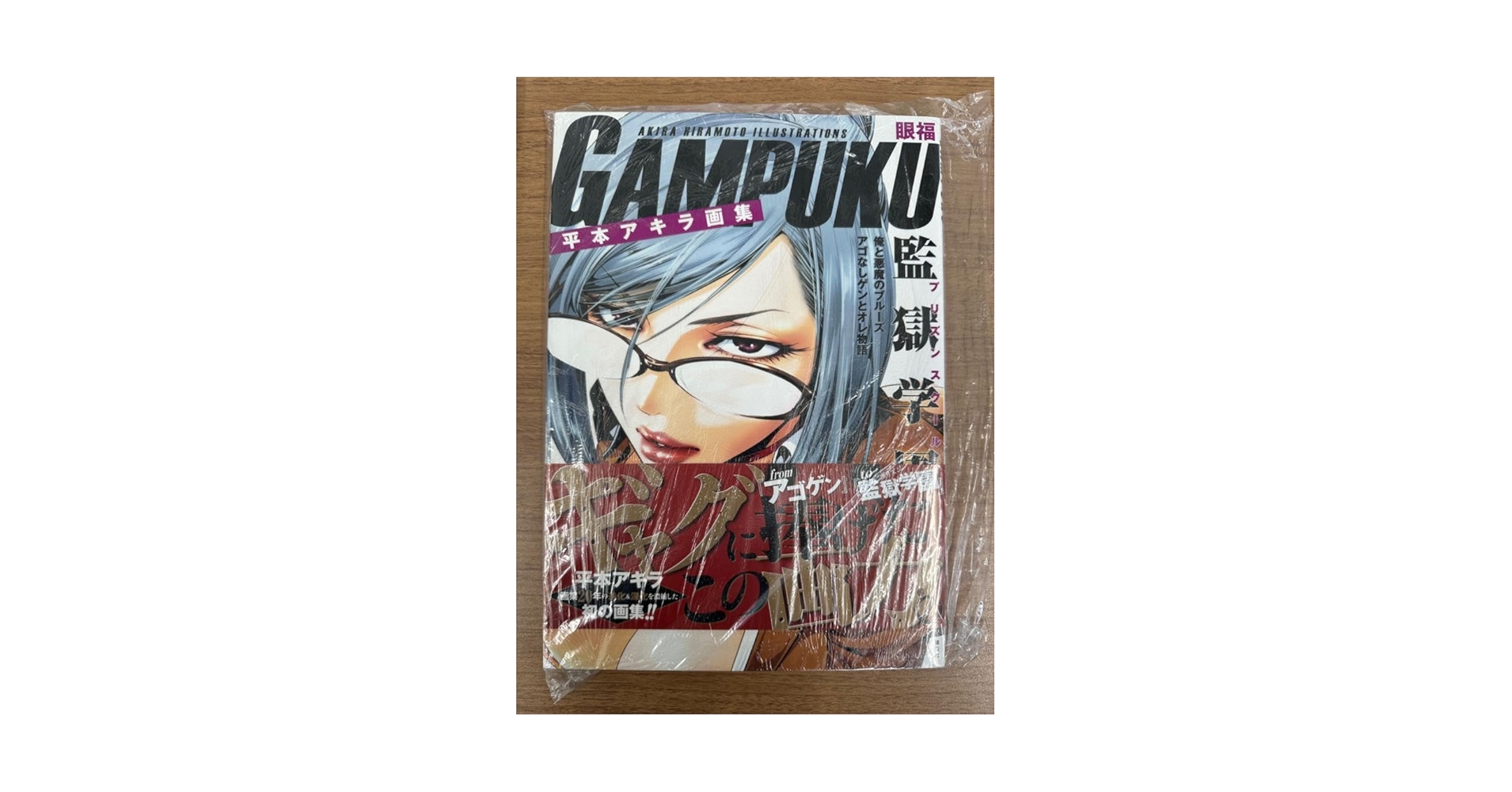 Amazon.co.jp: 平本アキラ画集 GAMPUKU 眼福 : おもちゃ