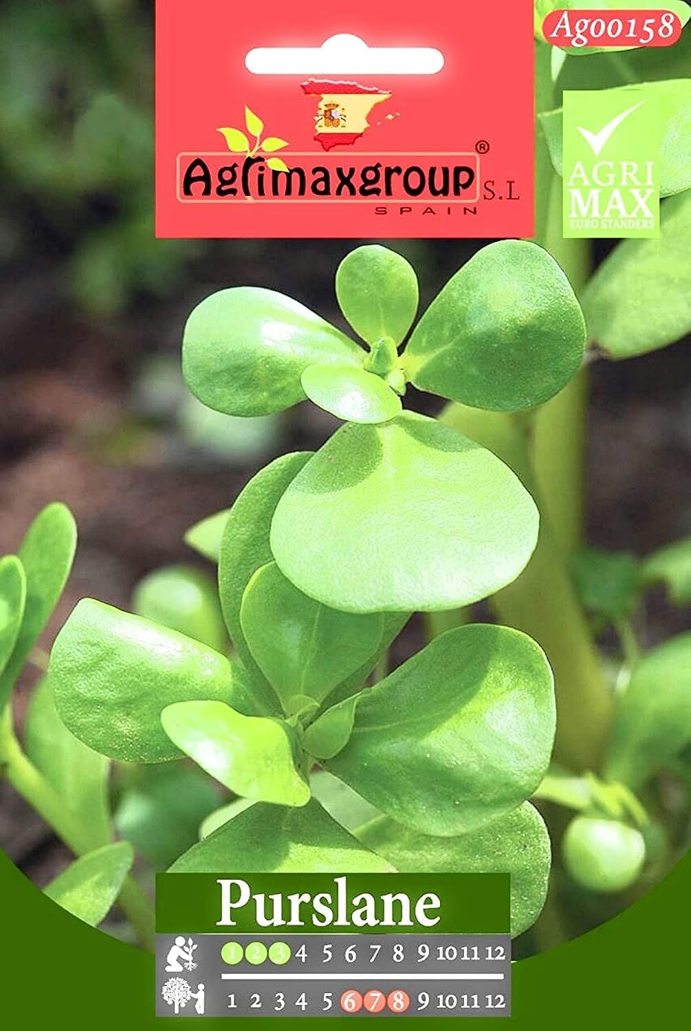Agrimax Purslane Plant Seed