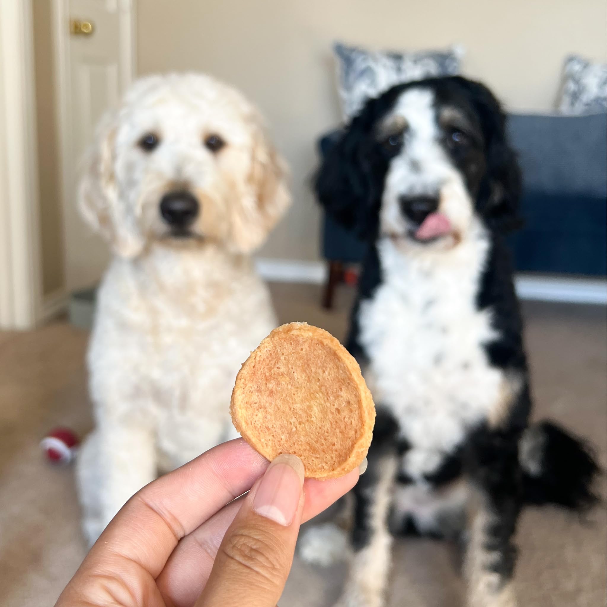One Bark Foods LLC Farm To Pet Training Treats - Chips De Pollo, Ingrediente Único, Magro, Todo Natural, Golosinas Saludables para Perros Pequeños, Medianos, Grandes Y Cachorros, Hechos En EE. UU.