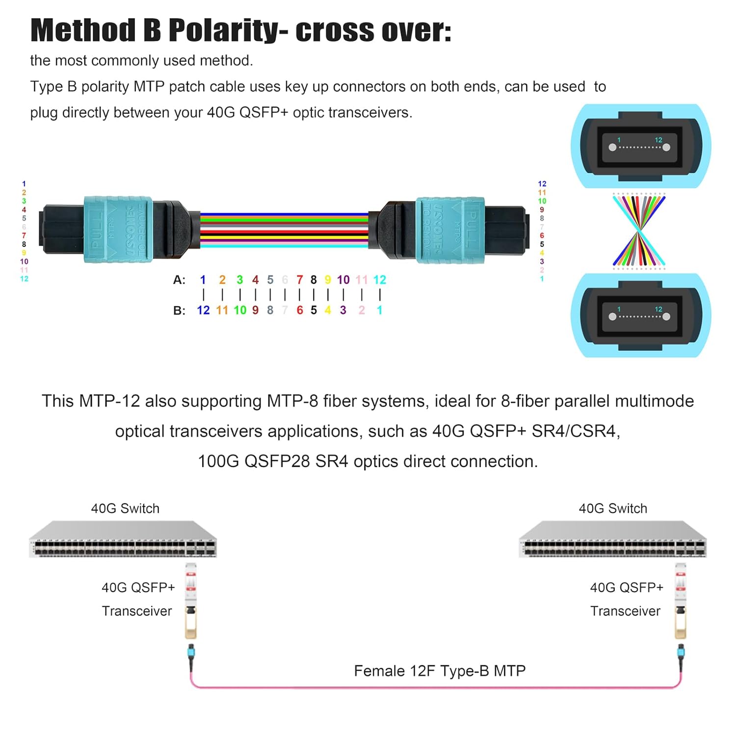 20ft OFNP MTP/MPO Fiber Cable 12 Strand Female, MTP to MTP OM4 Multimode Fiber Optic Ptach Cord, Type B Plenum MTP Jumpers