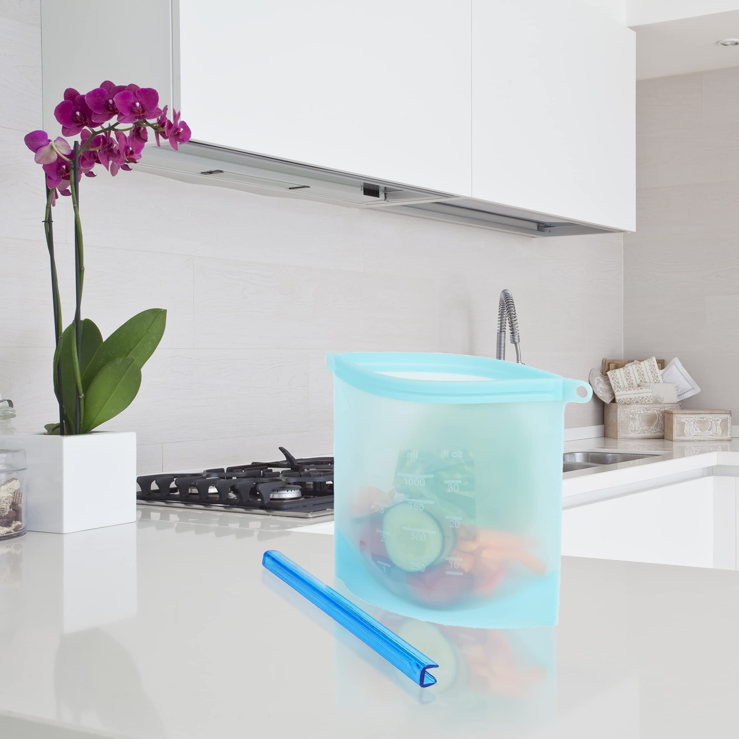 Axentia Sac De Conservation Réutilisable 1L - Plastique Transparent, Fermeture Couleur Bleu/gris, Idéal Voyage Avion