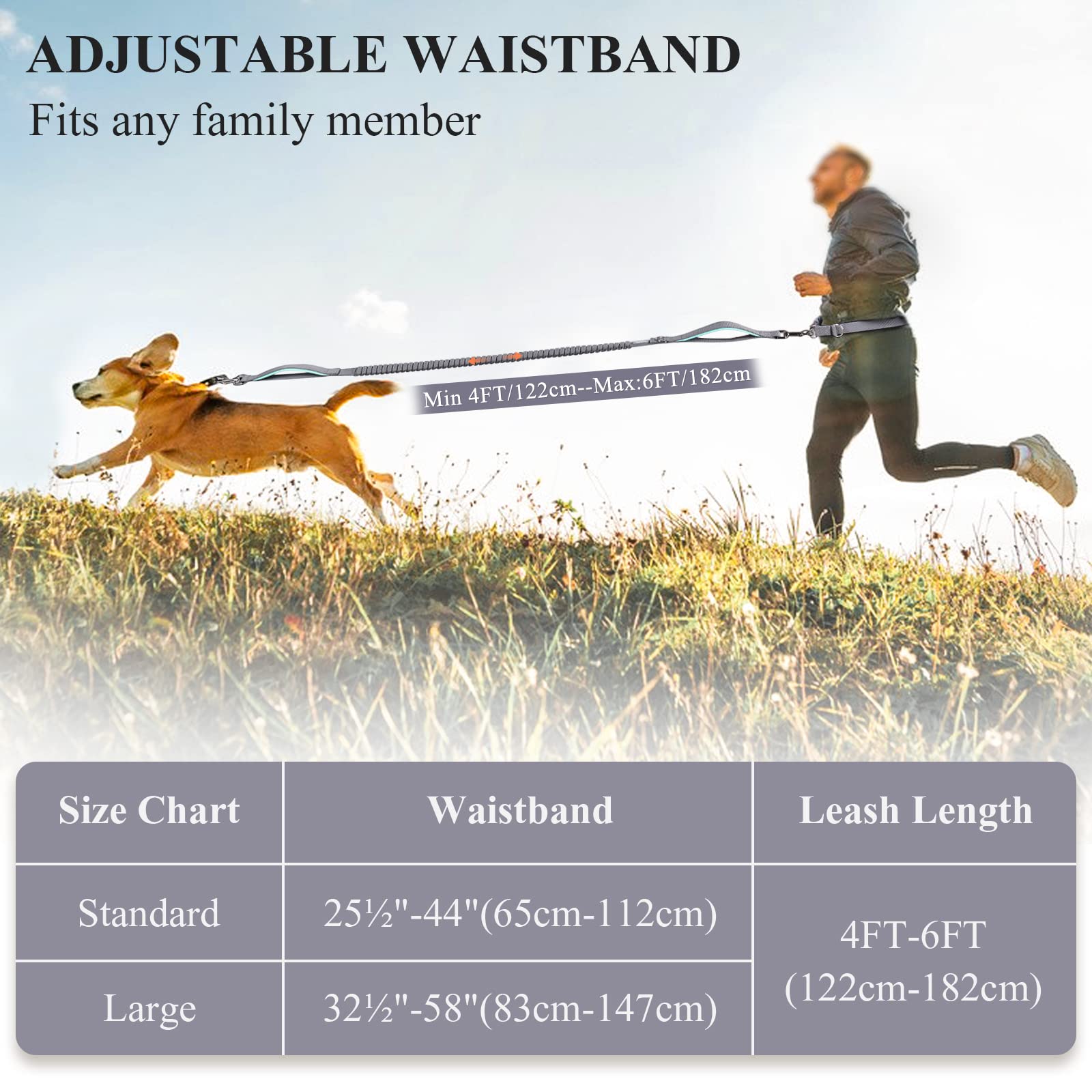 VIVAGLORY Correa para Perro sin Manos, Correa de Cintura con Bungee Absorbente de Choques para Perros Medianos y Grandes, Correa Reflectante Ajustable para Correr con Asa Acolchada, Gris-Turquesa