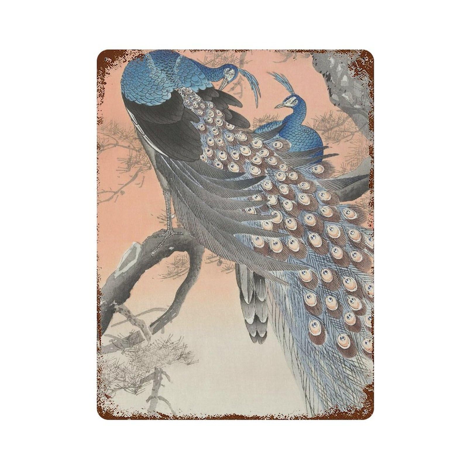xiaoxiaoshen Ohara Koson Peacocks Art Wall Decor Art Metal Tin Poster Modern Home Decor Art Home Bar Shop Decorations Vintage Sign 40x30cm