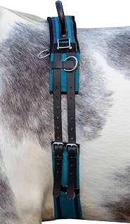 HKM Correa de lona con doble asa, color azul marino y azul