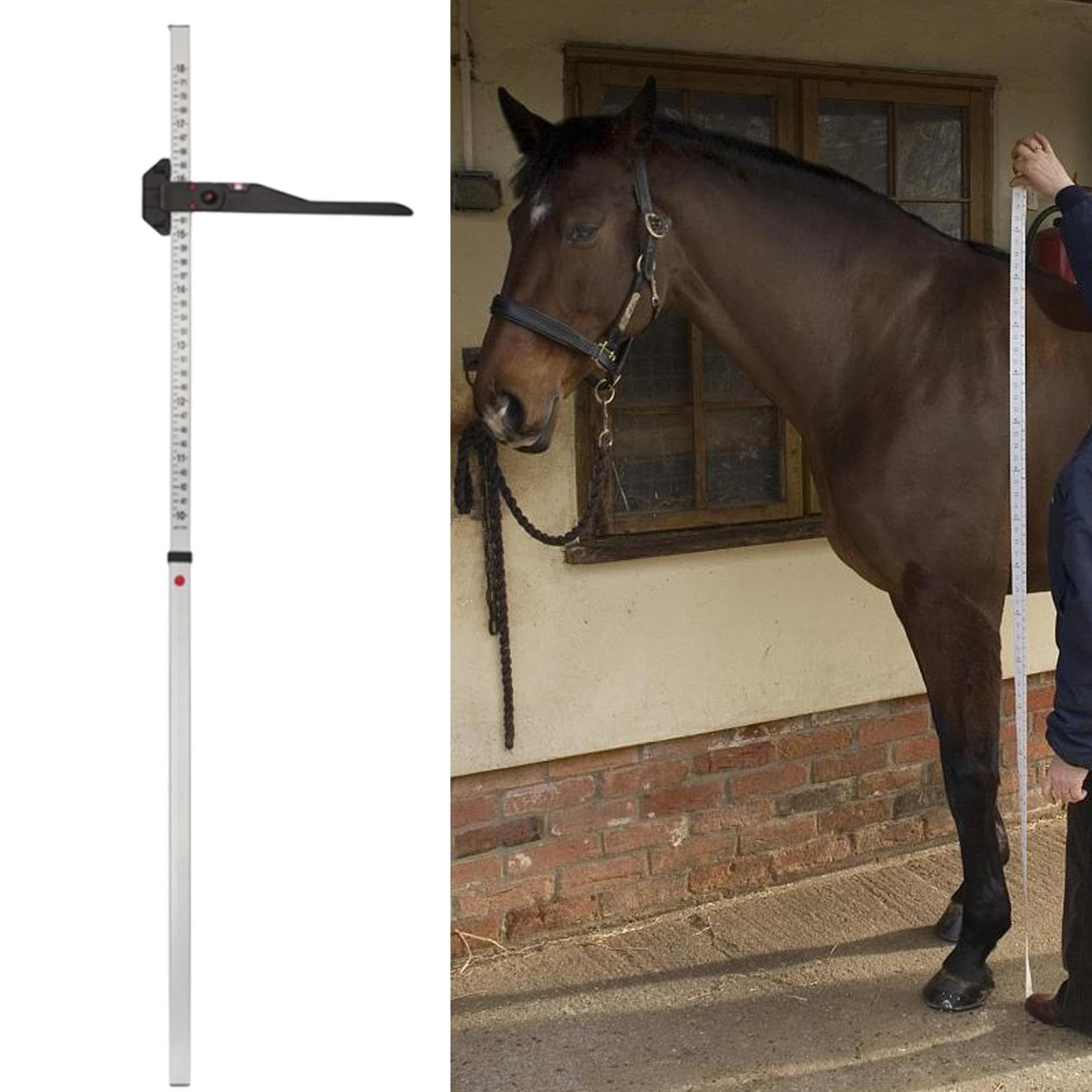 Amagogo Herramienta de medición de Altura de Caballo, medidor de Altura de Acero Inoxidable Resistente, Suministros ecuestres prácticos, Regla para Granja de
