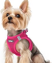 rabbitgoo Hundegeschirr kleine Hunde, Step-in Soft Mesh Hundegeschirr mit Sicherheitsverschluss, atmungsaktives und reflektierendes Welpengeschirr für kleine Hunde, Rosarot XS