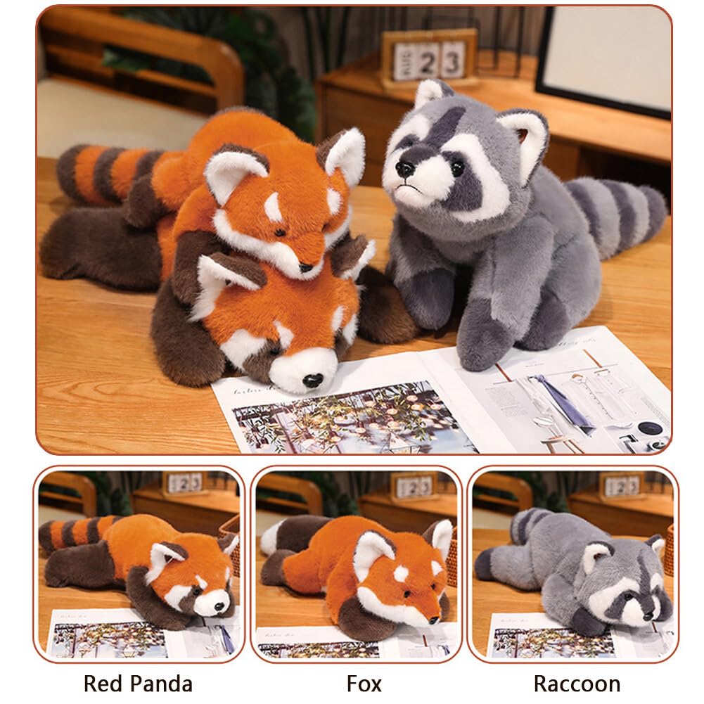 シュタイフ★Raccy Racoon 17cm&10cm★アライグマ 2体セット ドイツ製 Steiff Raggy アライグマ Raccoon dog シュタイフ