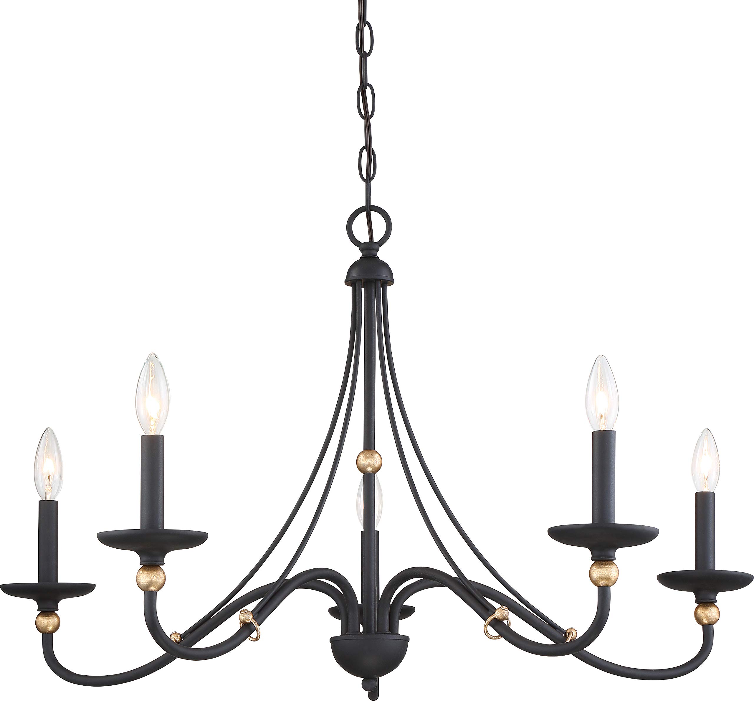 Minka Lavery Westchester County Metal Frame Chandelier