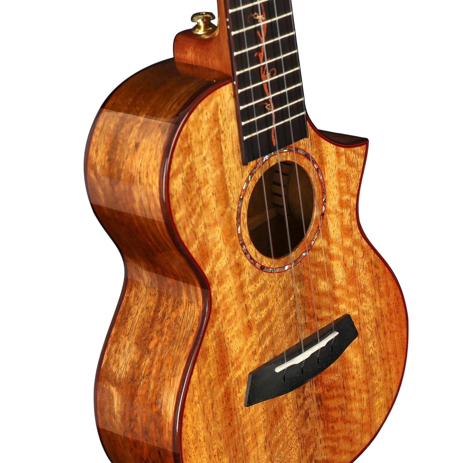 Ukulele Concert/Tenor Ukulele Solid Mango Wood High Gloss Finish With Gig Bag Strap Electric Ukulele(A,23inch)