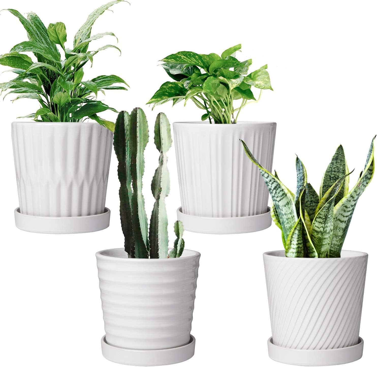 Brajttt Flower Pots - 6 Inch Succulent Pots with Drainage, Indoor/Outdoor Round Planters with Saucer, White Cactus Planters with Hole, 4 Pack