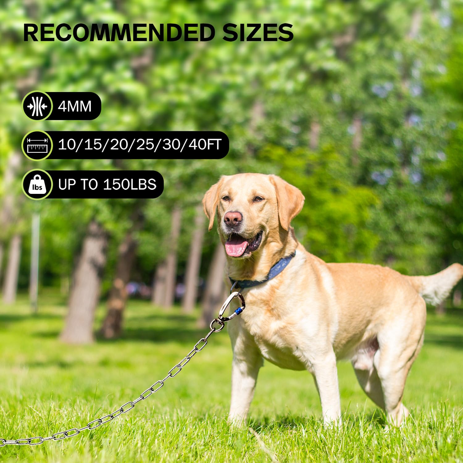 Chaîne robuste pour chien de jardin - 3 m - En métal - Résistante à la mastication - Longue laisse pour l'extérieur avec crochet pivotant solide - Coureur d'extérieur pour le camping - Câble d'attache