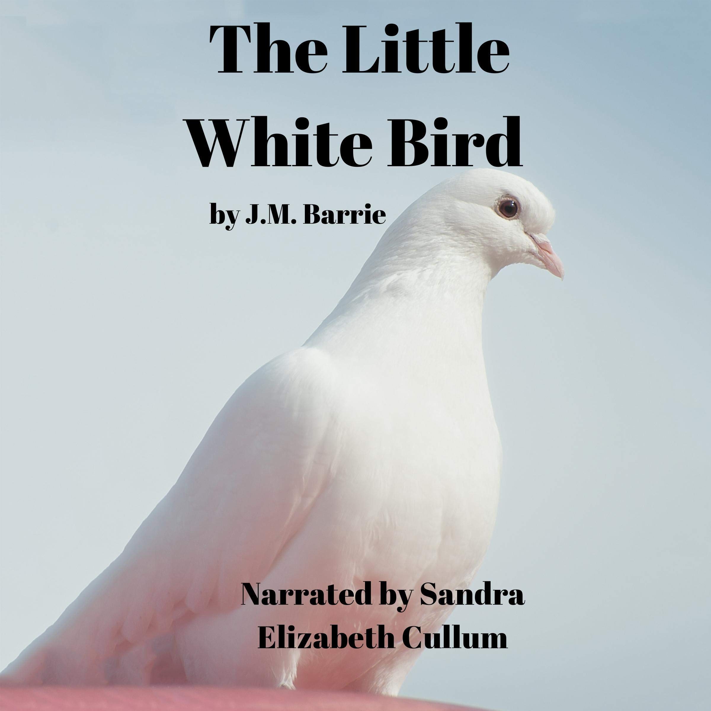The Little White Bird