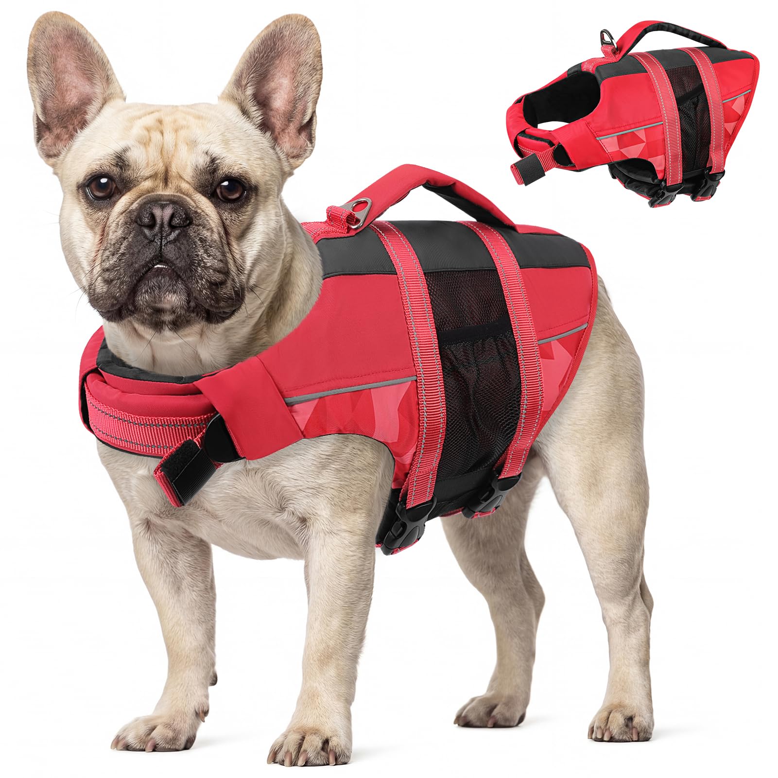 CITÉTOILE Giubbotti di Salvataggio per Cani, Regolabile Salvagente per Animali con Manico, Costume da Bagno di Sicurezza in Acqua per la Vela in Piscina Sulla Spiaggia, Rosso, M