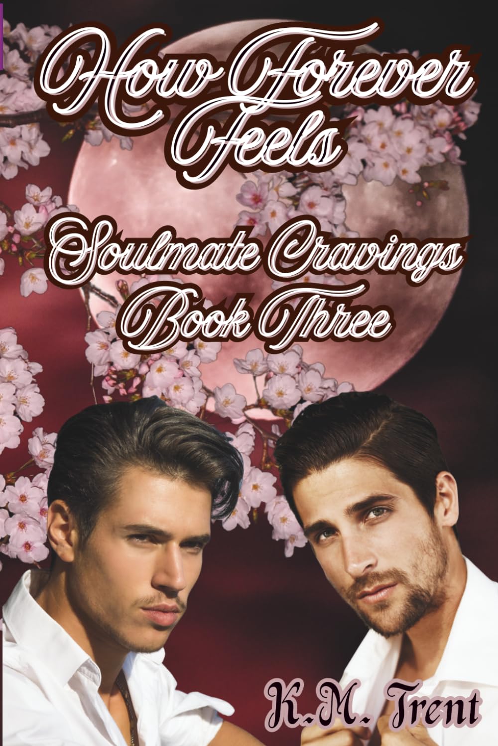 How Forever Feels: Soulmate Cravings Book Three: 3 (Soulmate Cravings Trilogy)