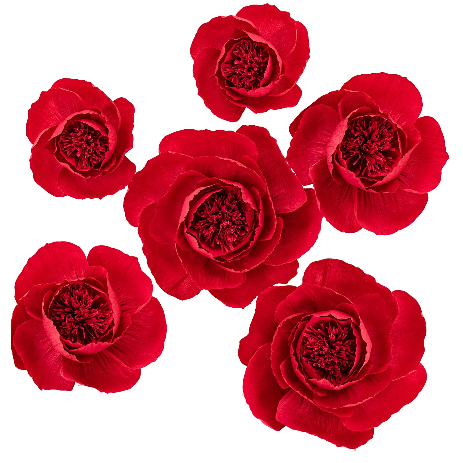 Photo 1 of MEJOY 6 pcs 3D Paper Flowers (Red, Set/6)