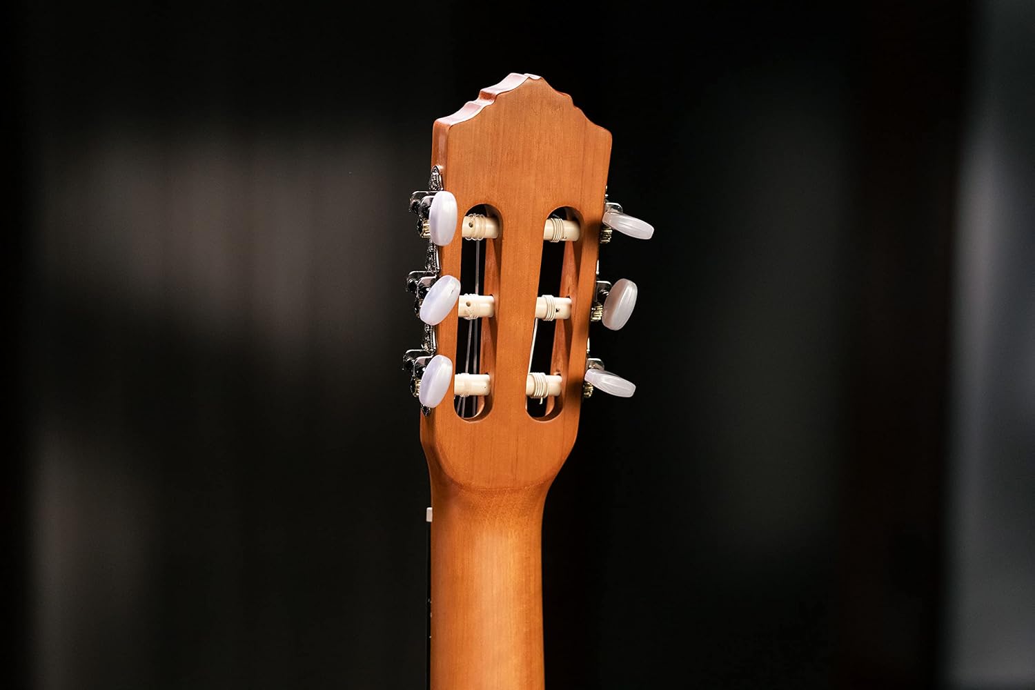 Family Series Full Size Nylon Classical Guitar w/Bag