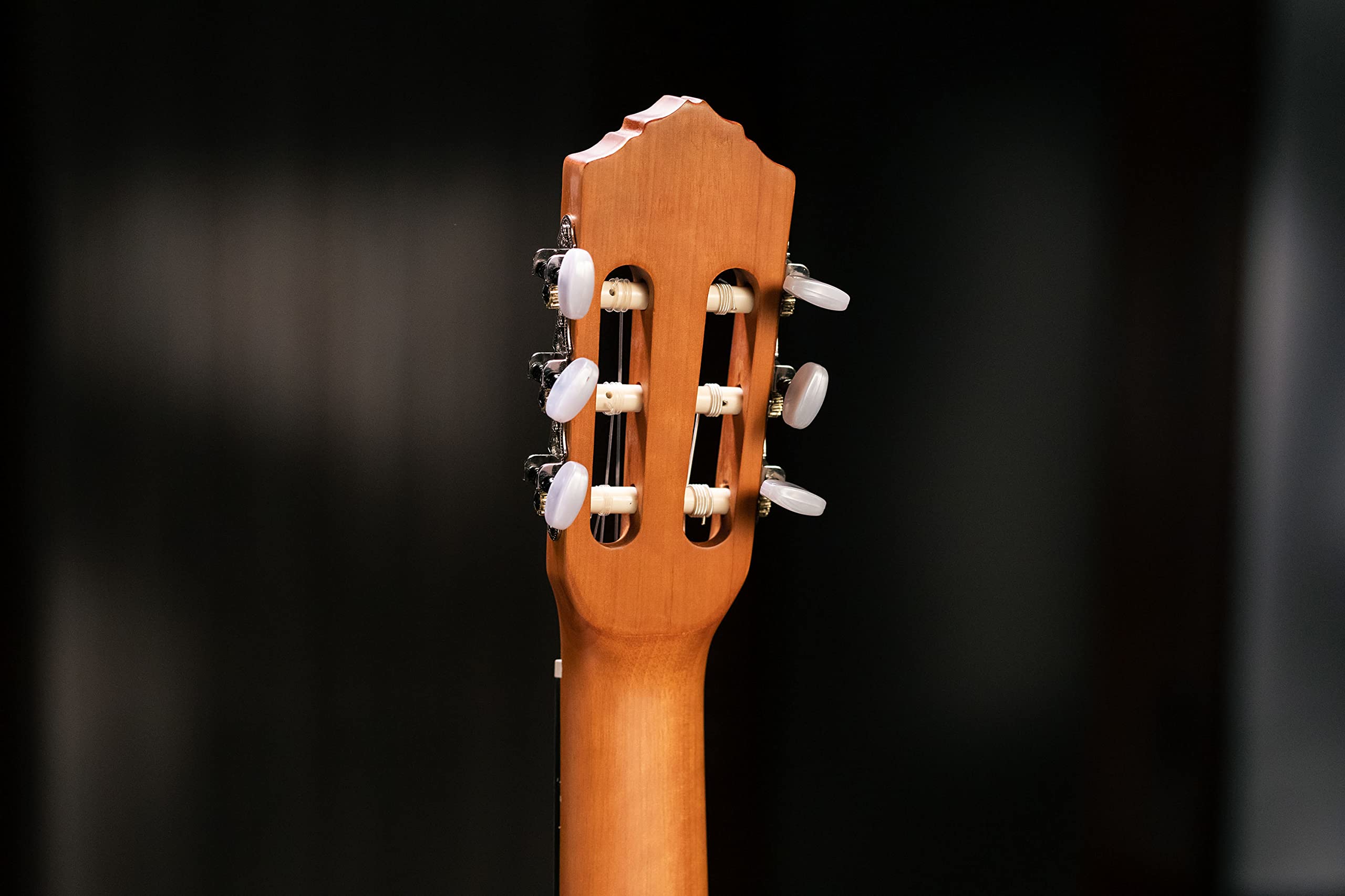 ORTEGA Guitarra Clásica Family Series 4/4 con Funda - NT - Cedro natural, R122