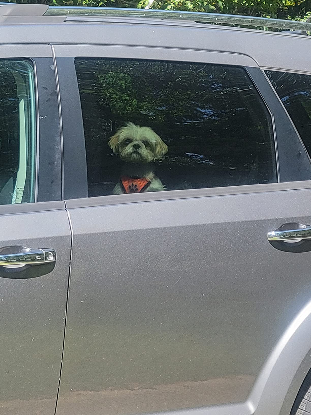 11/mo Finance Amazon Basics Pet Car Booster Bucket Seat Buy Now