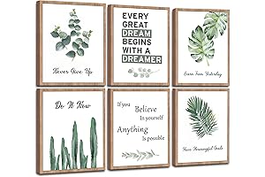 Framed Motivational Wall Art for Classroom