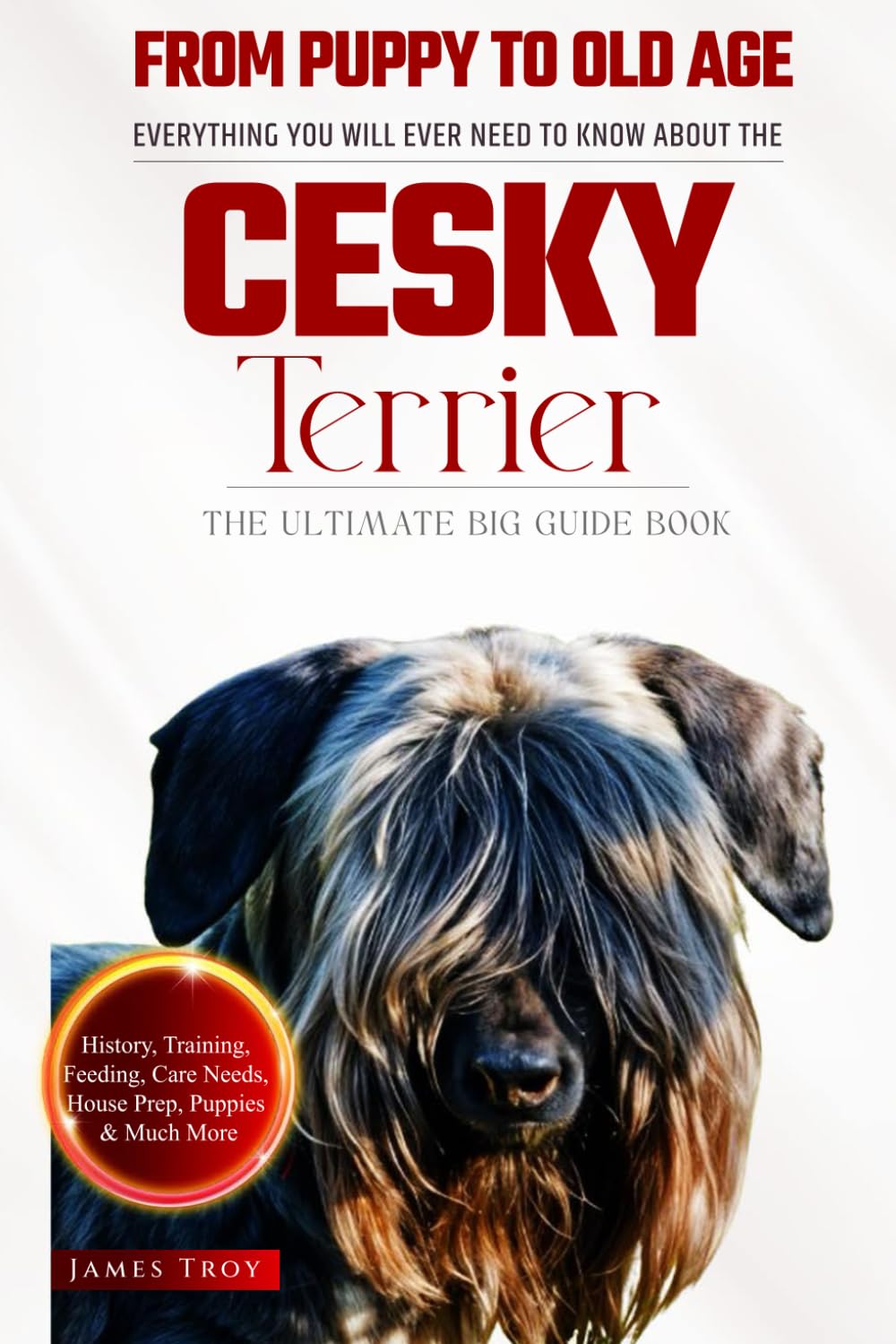 The Ultimate Cesky Terrier Big Guide: Everything You Will Ever Need To Know About The Cesky Terrier Book