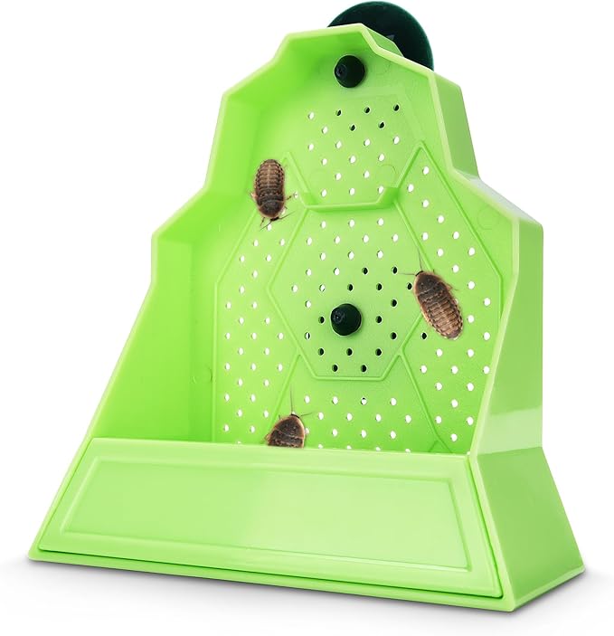 Reptile Anti-Escape Feeding Bowl, Wall-Mounted Feeder for Reptile, Stimulate Hunting Accessories for Terrarium, Vivarium and Paludarium, Suitable for Lizard, Gecko & Frog, Small