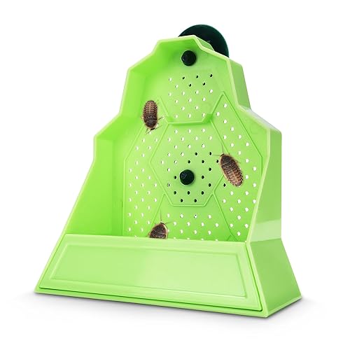 Eckpo Reptile Anti-Escape Feeding Bowl, Wall-Mounted Feeder for Reptile, Stimulate Hunting Accessories for Terrarium, Vivarium and Paludarium, Suitable for Lizard, Gecko & Frog, Small