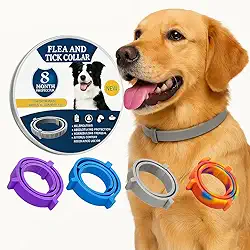 Coleira Anti Pulga Leishmaniose Carrapato Mosquito Cão Gato 62cm (Lilás, 62cm)