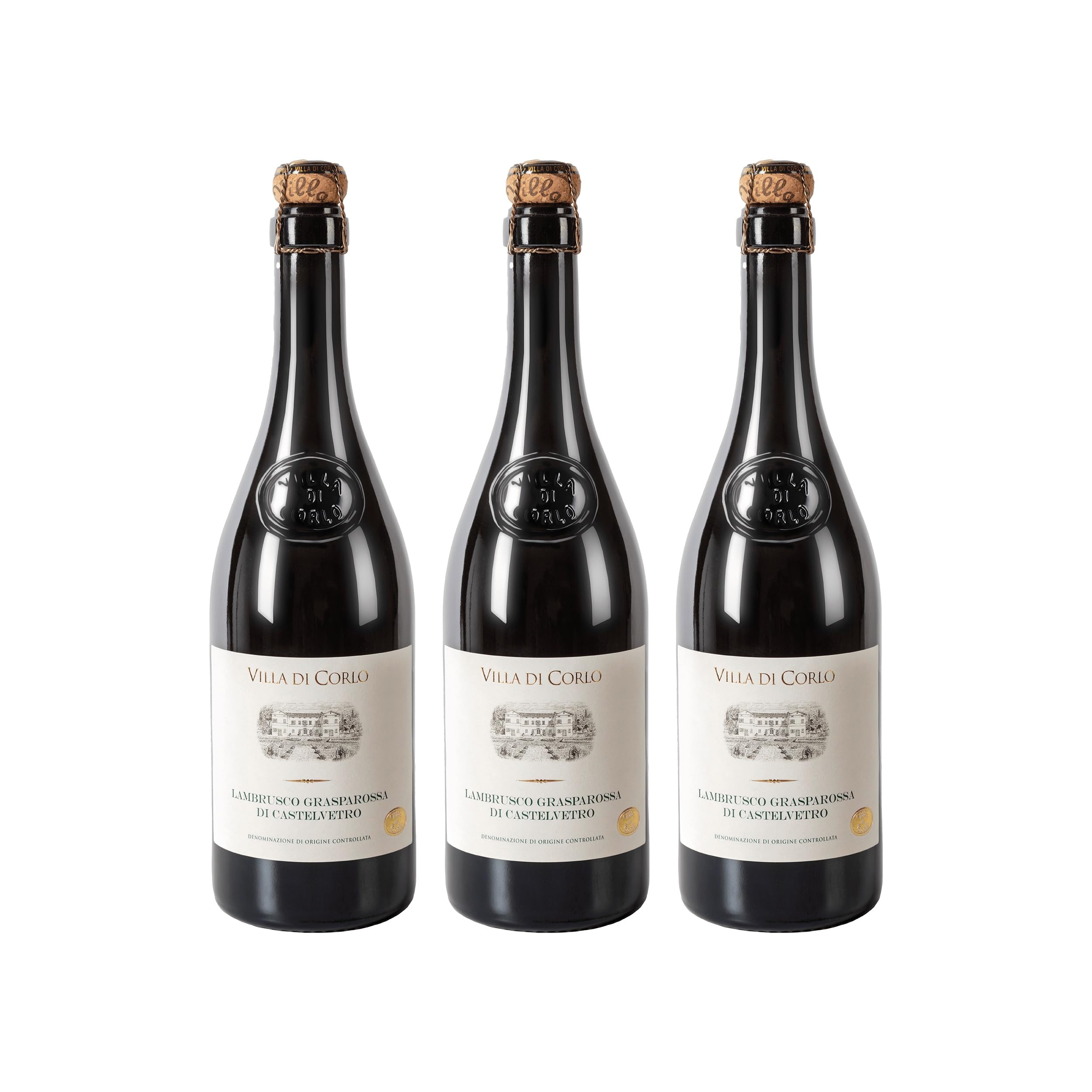 Villa di Corlo Lambrusco Grasparossa di Castelvetro DOC trocken Rotwein Italien inkl. Feinwert E-book (3 x 0.75 l)