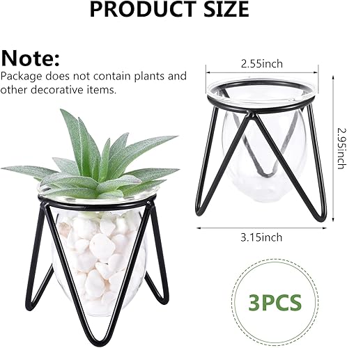 Miniatura 8 de Jspupifip 3 piezas de terrario de cristal para plantas con soporte de metal, soportes para plantas de aire, jarrones hidropónicos para plantas de