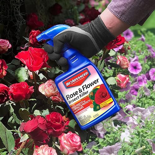 Miniatura 4 de BioAdvanced insecticida para rosas y flores listo para usar, 24 onzas (paquete de 2)