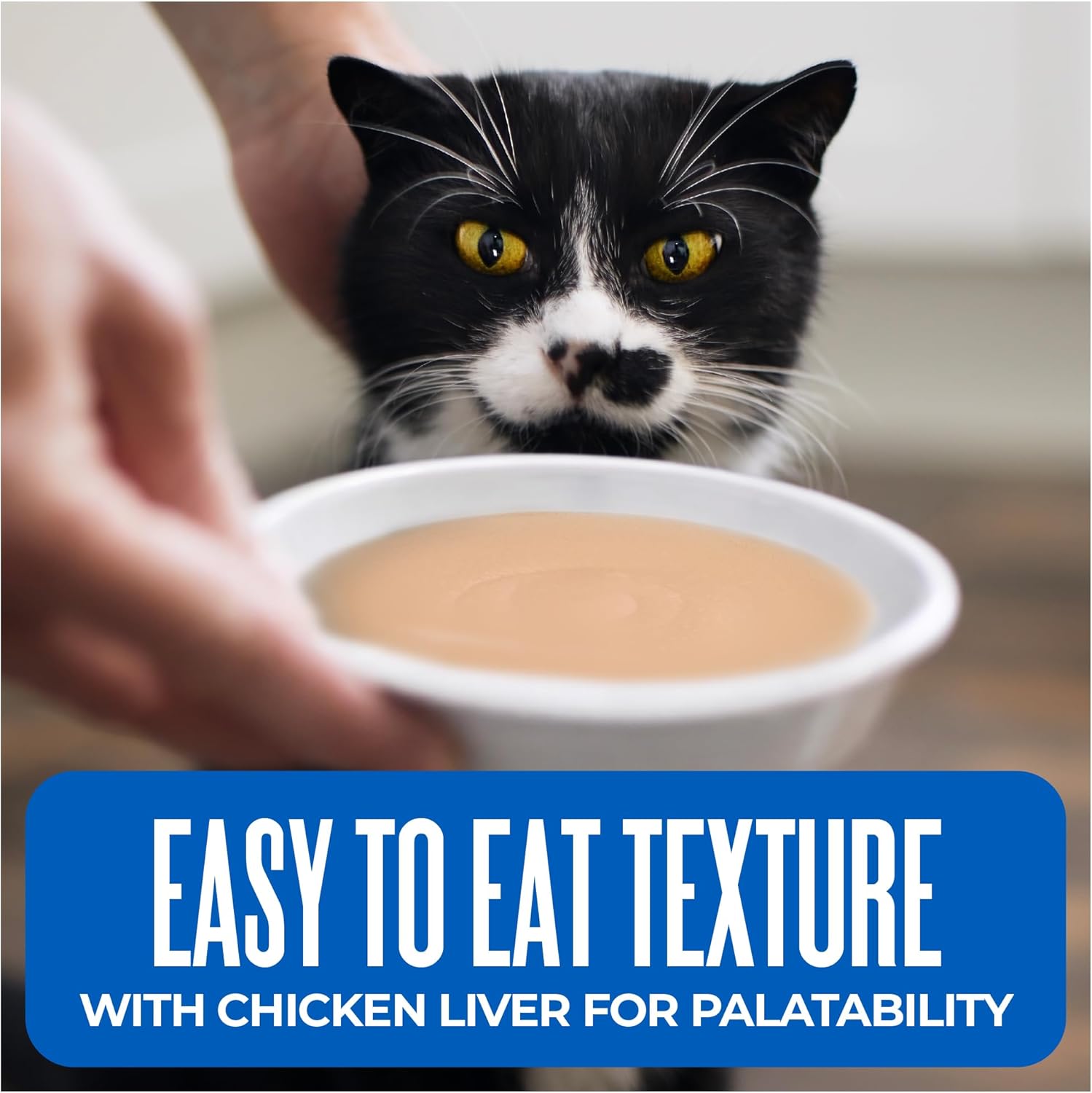 Tiki Cat Silver Comfort Puree Wet Cat Food, Chicken & Chicken Liver, 6 oz. Spout Pouch (6 Count)