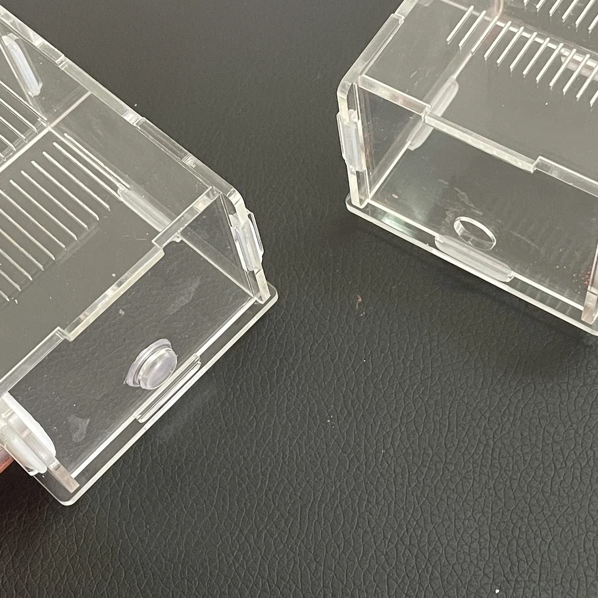 Ameisenformikarium, DIY Acryl Ameisennest 15mm Bambus Reagenzglas Ameise. Formicarium Moisturiz(C)