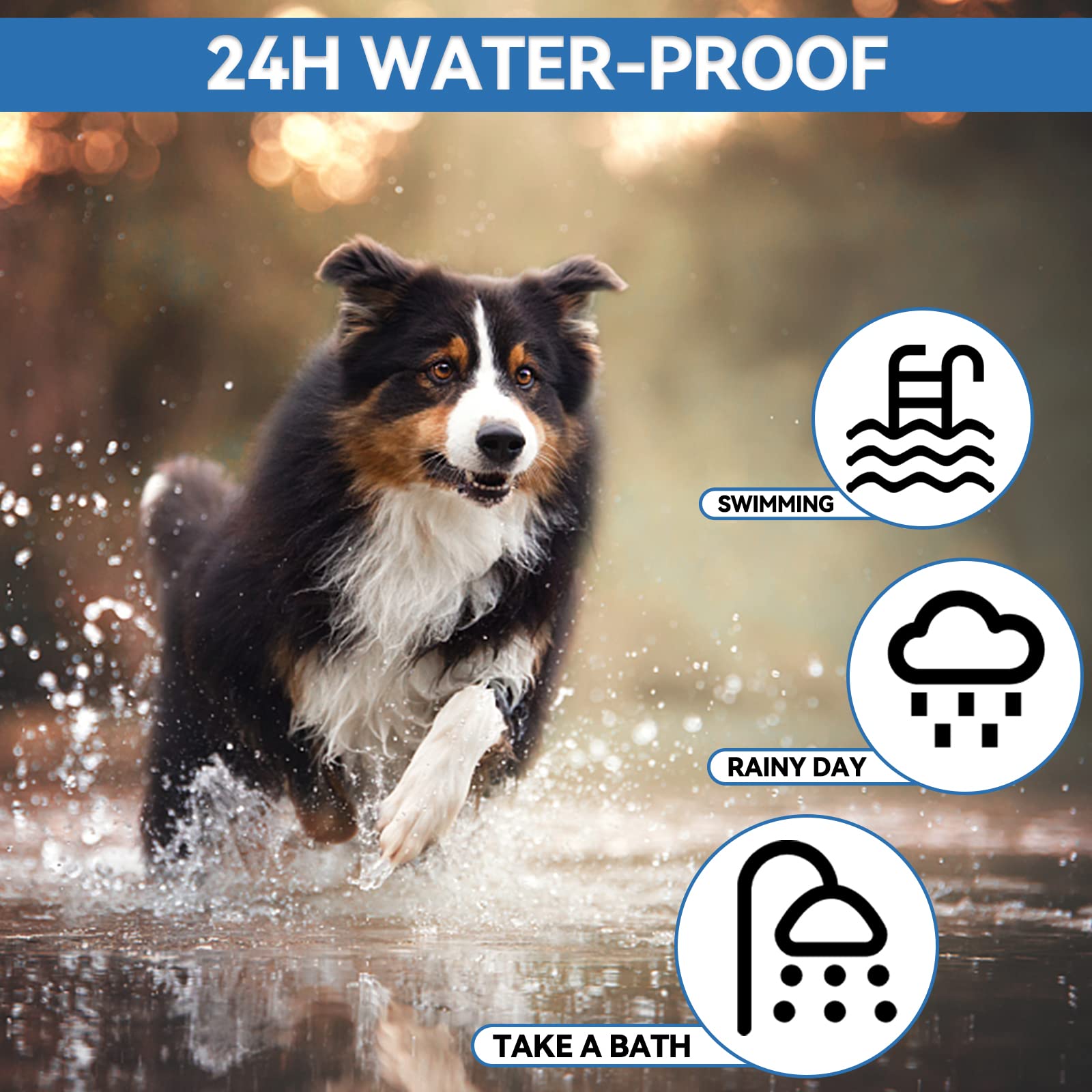 Collare Antipulci Cane, Naturali Collare Antipulci e Zecche per Cani, 12 Mesi di Protezione Impermeabile Collare Cane Antiparassitario, 63.5cm Regolabile Collare Antipulci (A2)
