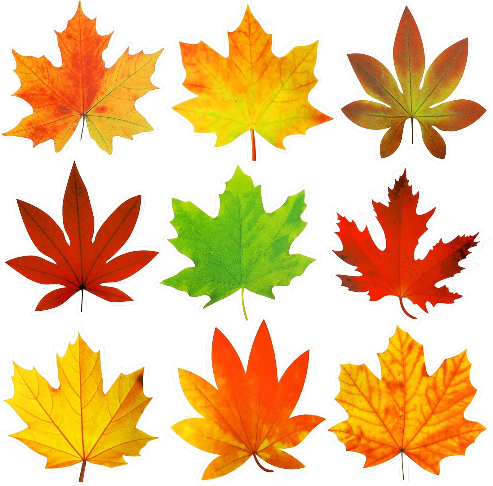 Ferraycle 135 Pcs Thanksgiving Fall Bulletin Board Decorations Fall Leave Cutout Autumn Artificial Leaf Cutout Maple Paper Leave with Glue Point Dot for Bulletin Board Wall Decoration, 3.94 x 3.5 in