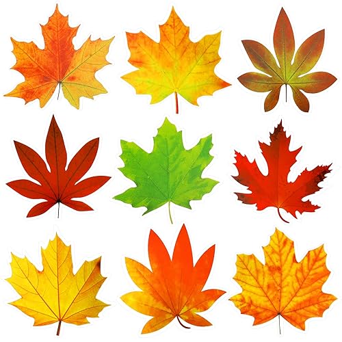 Ferraycle 135 Pcs Fall Bulletin Board Decorations Fall Leave Cutout